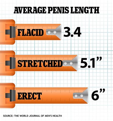 Study finds out the average size of a penis